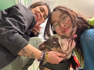 Veterinarian in Long Beach, CA